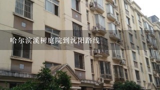 哈尔滨溪树庭院到沈阳路线