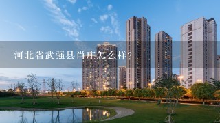 河北省武强县肖庄怎么样？