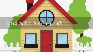 大名鼎东嘉园小区有5证吗的