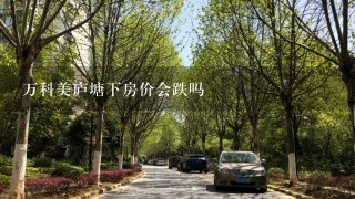 万科美庐塘下房价会跌吗