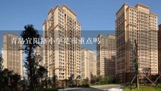 青岛宜阳路小学是市重点吗