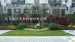 9龙坡区共和村何时拆迁哟