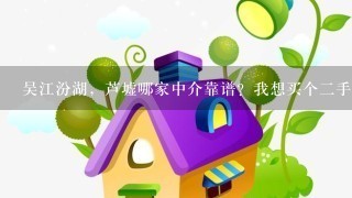 吴江汾湖，芦墟哪家中介靠谱？我想买个2手房，想找家可靠的中介。