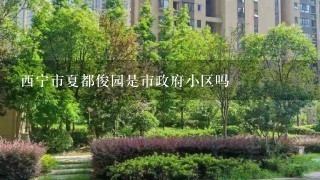 西宁市夏都俊园是市政府小区吗