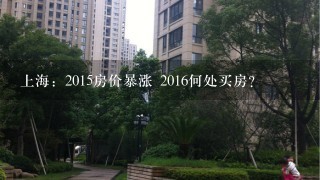 上海：2015房价暴涨 2016何处买房？