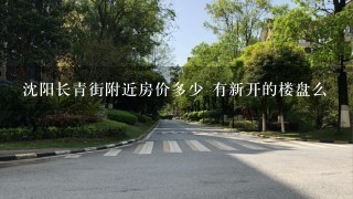 沈阳长青街附近房价多少 有新开的楼盘么