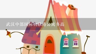 武汉中部国际物联港公寓多高