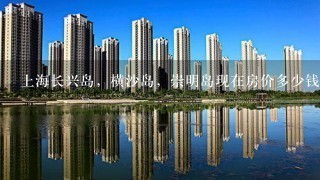 上海长兴岛，横沙岛，崇明岛现在房价多少钱？