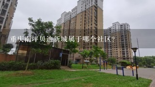 重庆南坪贝迪新城属于哪个社区？