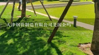 天津钢管制造有限公司是国企吗