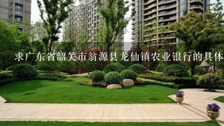 求广东省韶关市翁源县龙仙镇农业银行的具体信息，支行等、营业部