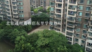 北京通州葛布店东里学校划片