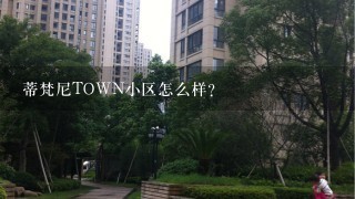 蒂梵尼TOWN小区怎么样？