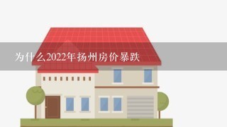 为什么2022年扬州房价暴跌