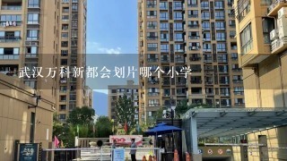 武汉万科新都会划片哪个小学