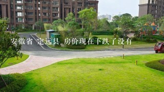 安徽省 定远县 房价现在下跌了没有