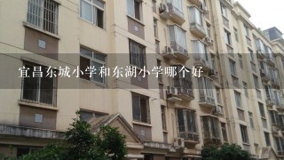 宜昌东城小学和东湖小学哪个好