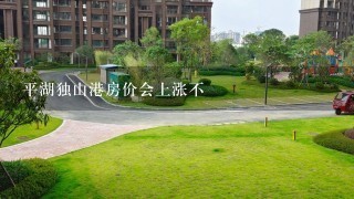 平湖独山港房价会上涨不