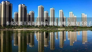 奉化区萧王庙街道和莼湖街道哪个地方买房子好