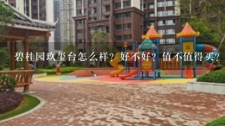 碧桂园玖玺台怎么样？好不好？值不值得买？