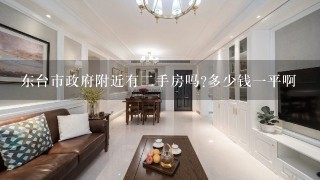 东台市政府附近有2手房吗?多少钱1平啊