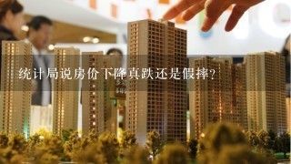 统计局说房价下降真跌还是假摔？