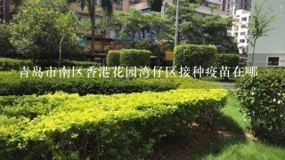 青岛市南区香港花园湾仔区接种疫苗在哪