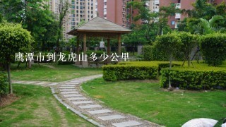 鹰潭市到龙虎山多少公里