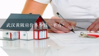 武汉黄陂房价多少钱1平方?