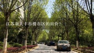 江苏省大丰市楼市区的房价？