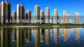 北京自住型商品房朝阳北路房价怎么样?