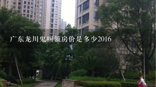 广东龙川鬼叫领房价是多少2016