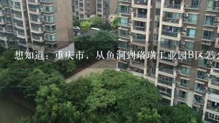 想知道: 重庆市，从鱼洞到珞璜工业园B区怎么坐公交？