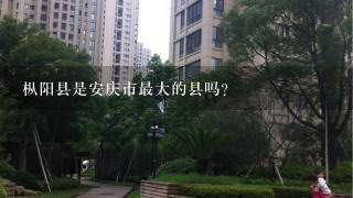 枞阳县是安庆市最大的县吗？