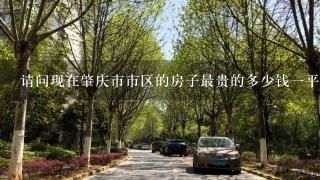 请问现在肇庆市市区的房子最贵的多少钱1平米，谢谢