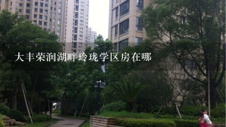 大丰荣润湖畔玲珑学区房在哪