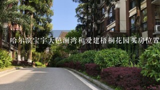 哈尔滨宝宇天邑澜湾和爱建梧桐花园买房位置比较哪个更好1些