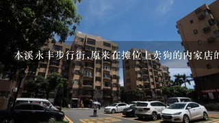 本溪永丰步行街,原来在摊位上卖狗的内家店的地址在哪啊?店名叫什么吖?