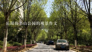 岳阳尚书山公园的观景作文