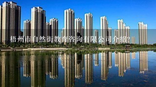 梧州市自然街教育咨询有限公司介绍？