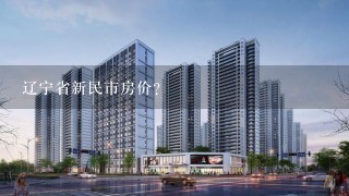 辽宁省新民市房价?