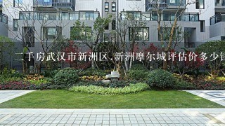 2手房武汉市新洲区.新洲摩尔城评估价多少钱1平方是步梯房