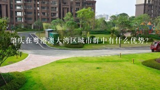 肇庆在粤港澳大湾区城市群中有什么优势？