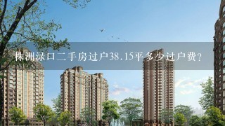 株洲渌口2手房过户38.15平多少过户费？