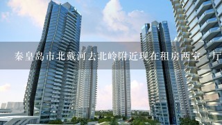 秦皇岛市北戴河去北岭附近现在租房两室1厅大概多少钱啊？哪位朋友帮帮我，谢谢！