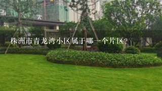 株洲市青龙湾小区属于哪1个片区？