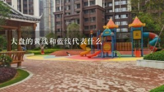 大盘的黄线和蓝线代表什么