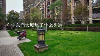 广宇东润大厦属于什么街道