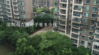 深圳布吉租房子要多少钱