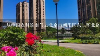 从中国农科院南门去北京市朝阳区东3环北路16号坐公交怎么走